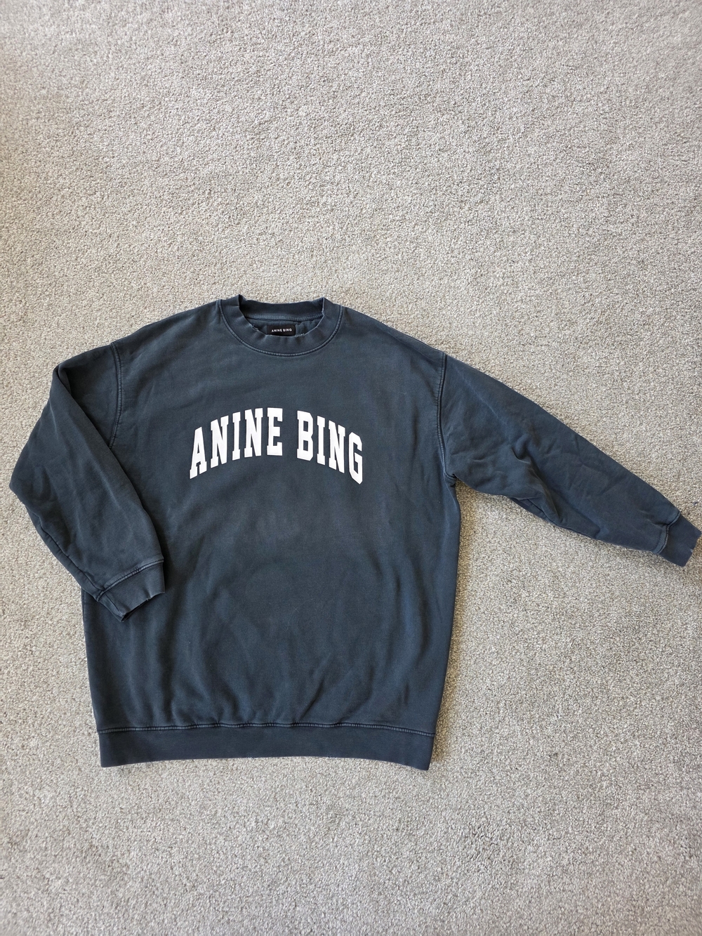 Anine Bing Tyler Crewneck Sweatshirt